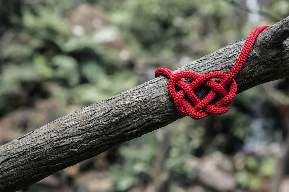 1. Une corde (minimum 5 m)